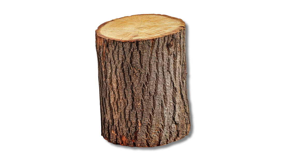 Wooden log with textured bark, cut at an angle.