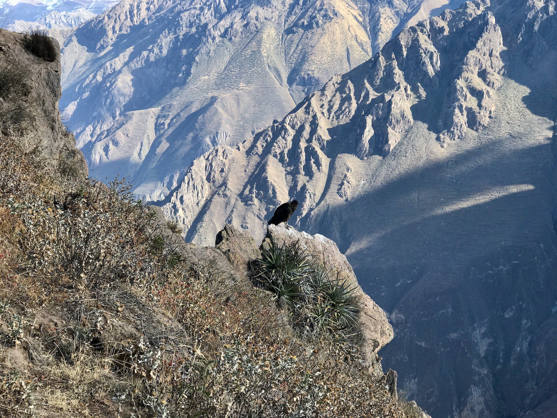 Rocky mountain canyon with steep gray cliffs and a shadowed valley in bright daylight
