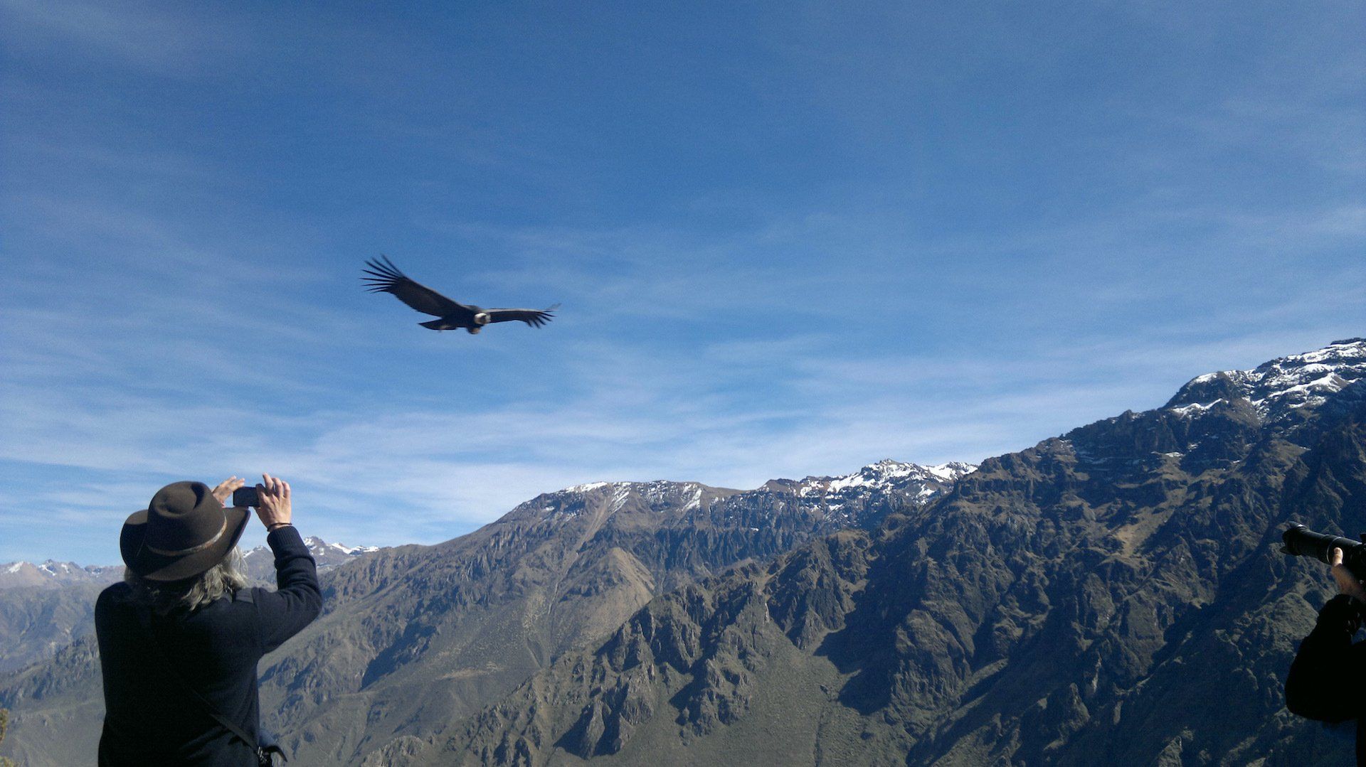 Person photographing a gliding jet over snowy mountains under a clear blue sky