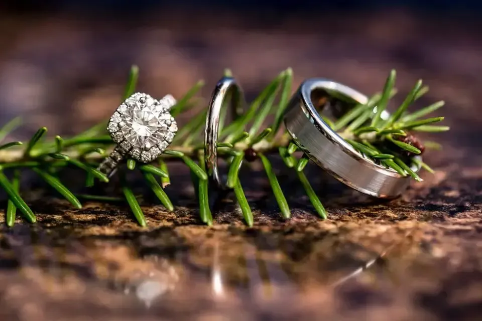 A close up of a wedding ring and an engagement ring on a pine branch.