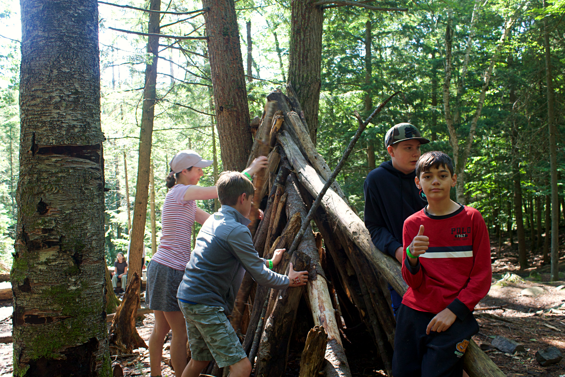 4 children in a forest suing long tree logs to build a shelter.