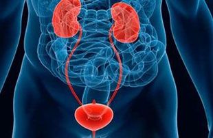 MEDICO UROLOGO