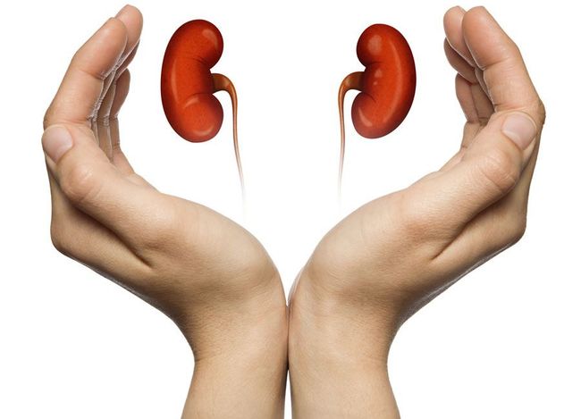 ESPECIALISTA EN UROLOGIA
