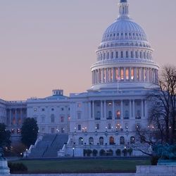 Political Campaign Consulting