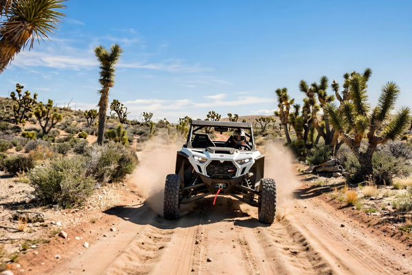 White off-road vehicle driving on a dirt road in a desert landscape with Joshua trees.