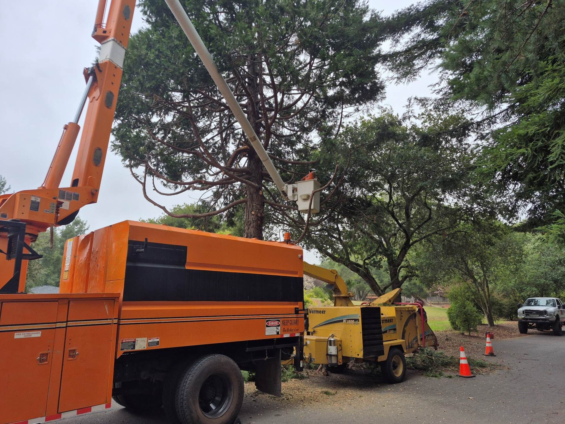 Orange crane and yellow cherry picker trimming a tree along a road, with traffic cones nearby.