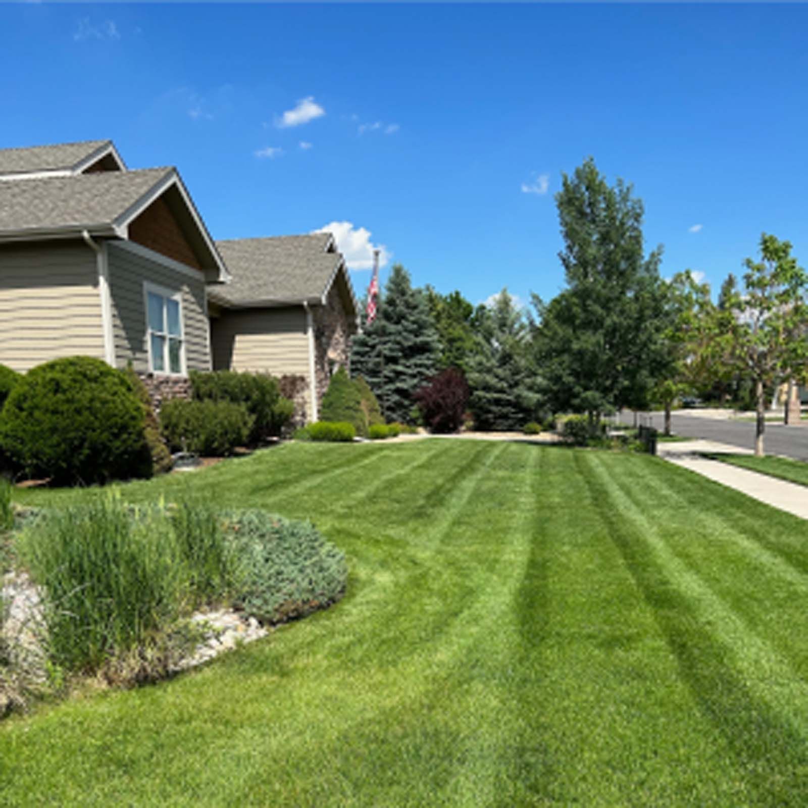 A manicured green lawn with freshly mowed stripes in front of a tan suburban house under a clear blue sky.