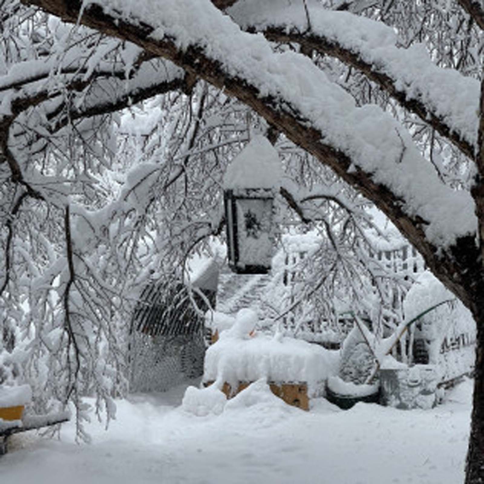 A snow-covered garden scene featuring a hanging lantern suspended from a branch, with thick snow blanketing the area.