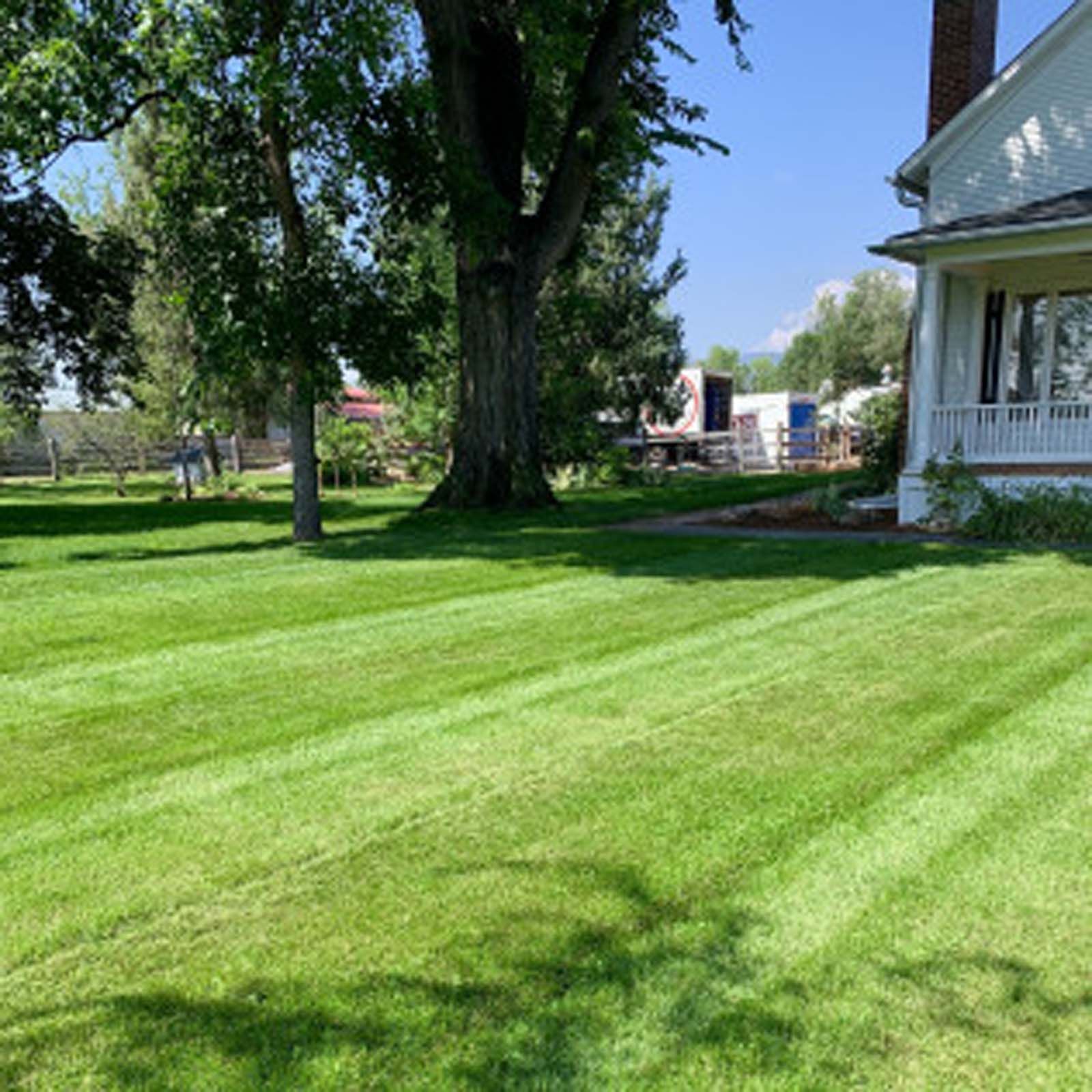 A wide shot of a mown green lawn leading to a large tree and the porch of a white house under a clear blue sky.