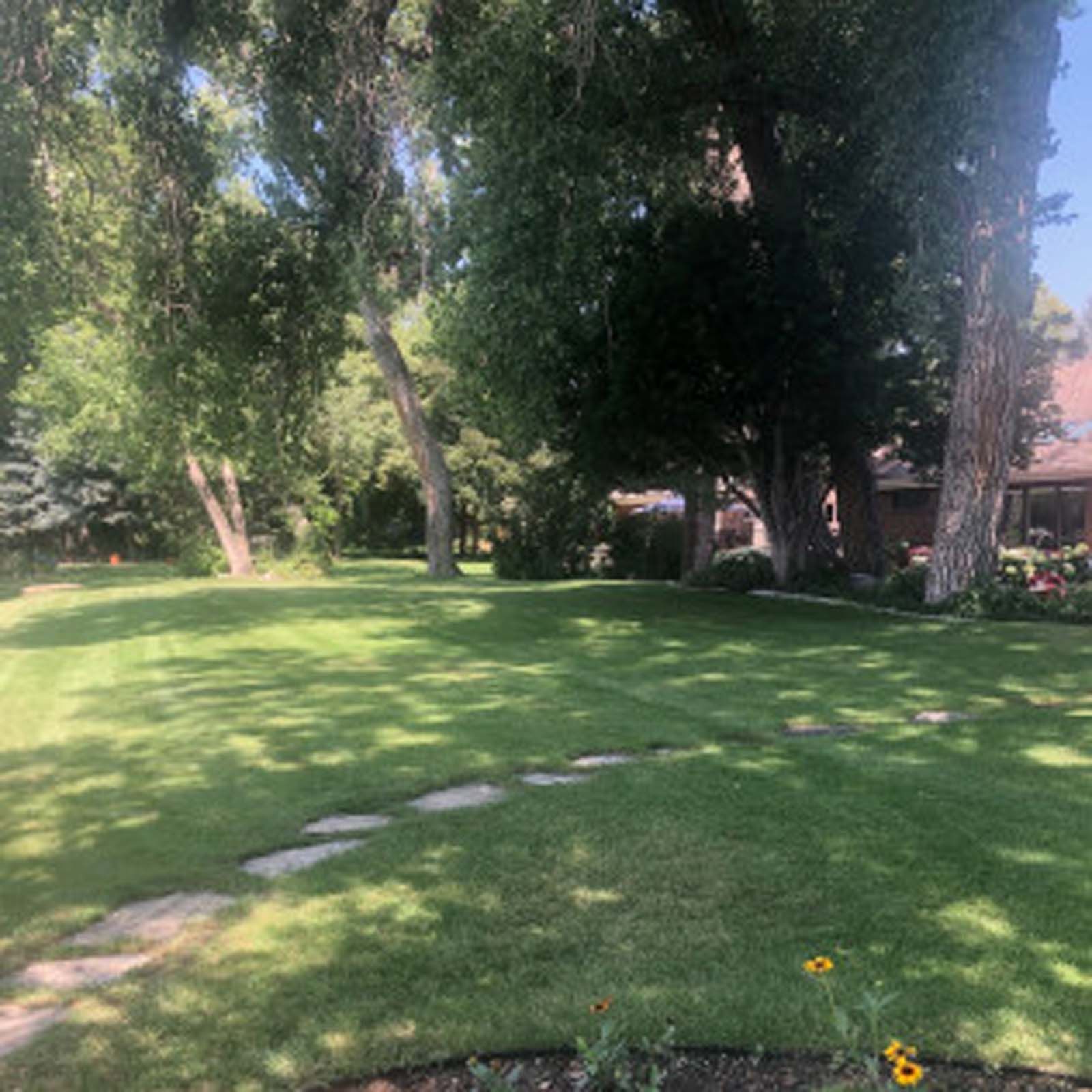 A grassy yard with mature trees, a stone pathway curving across the lawn, and a hint of a house in the background.