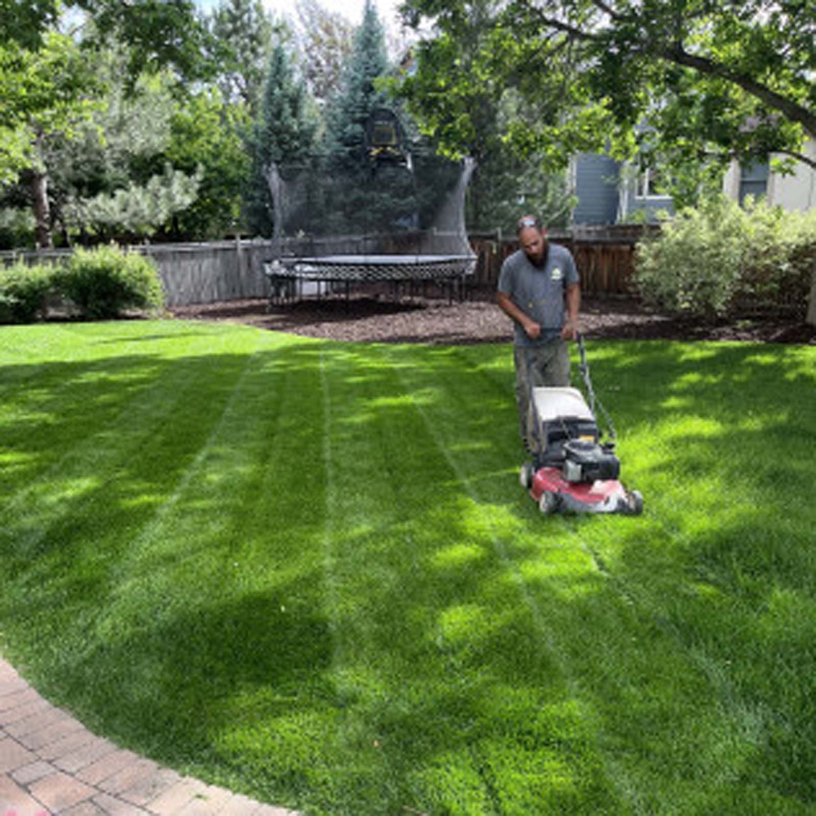 A person mows a bright green, striped lawn in a sunny backyard with a trampoline and trees in the background.