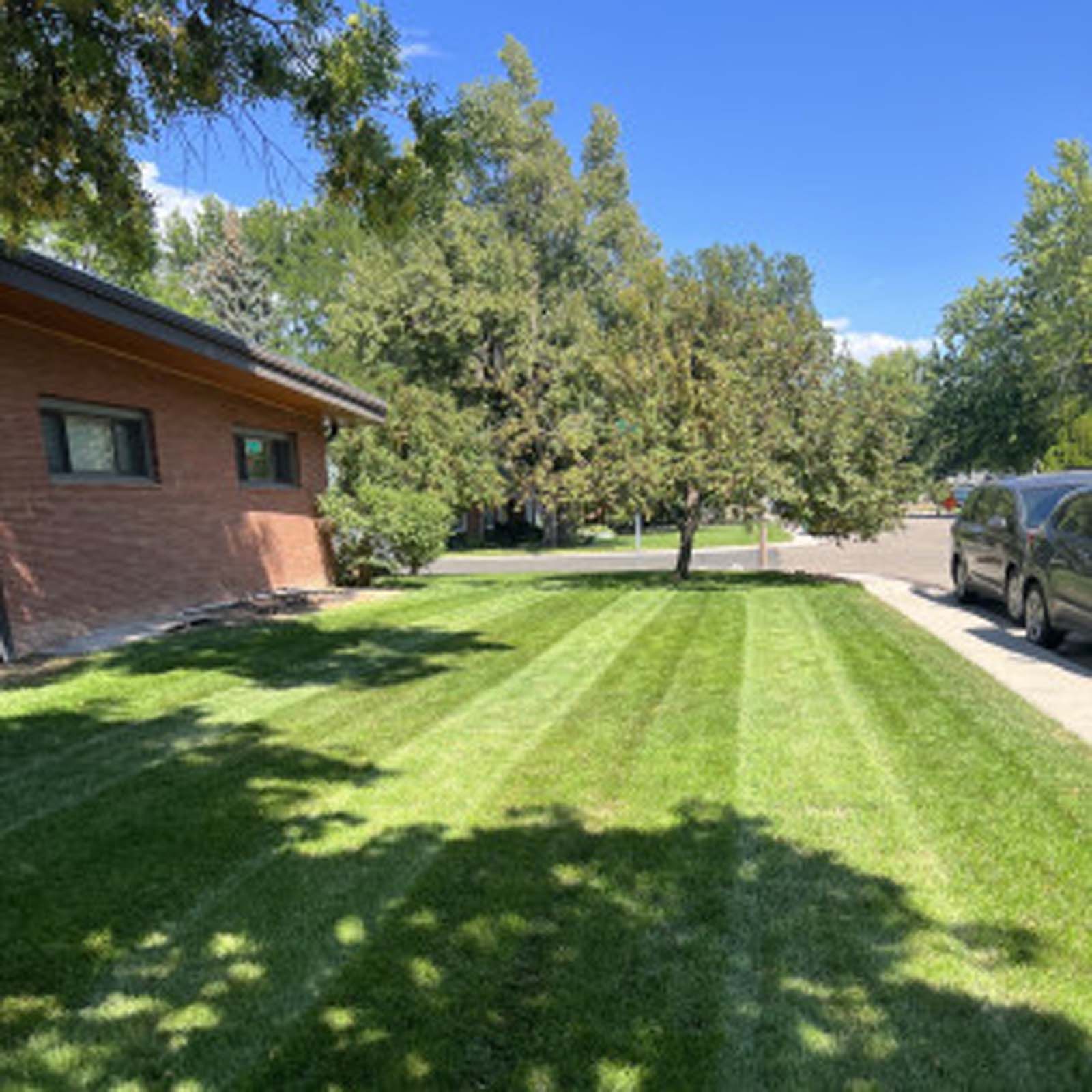 A manicured lawn with neat mowing stripes next to a red brick house and a driveway on a sunny day.