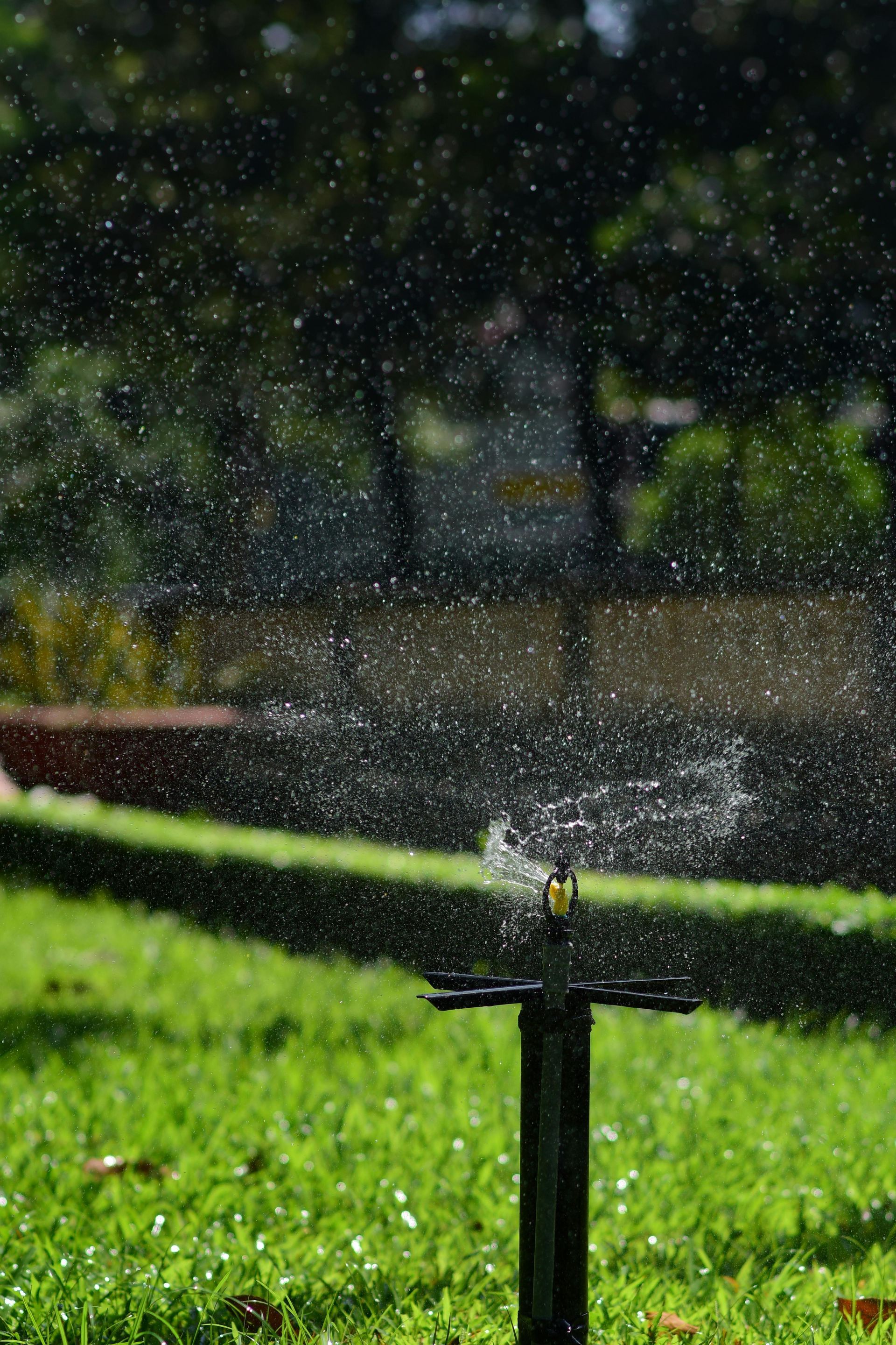 A lawn sprinkler sprays a fine mist of water over a vibrant green grassy lawn in a park setting.