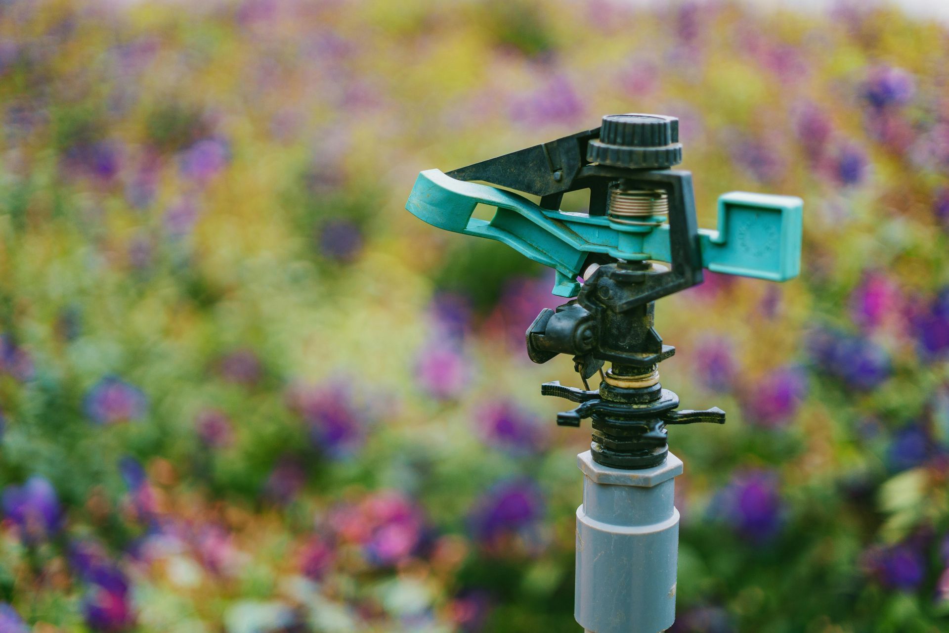 A green and black mechanical garden sprinkler stands in the foreground, set against a blurry background of colorful flowers.