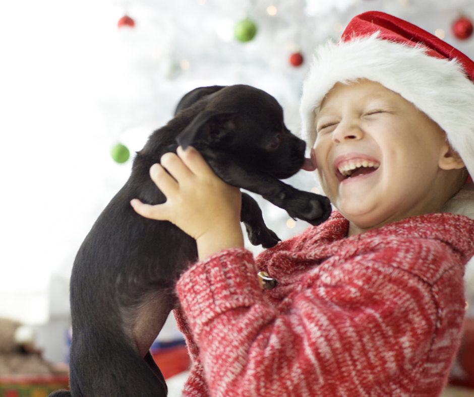 puppy and kid