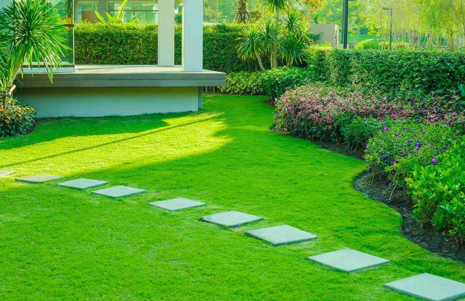 landscape garden