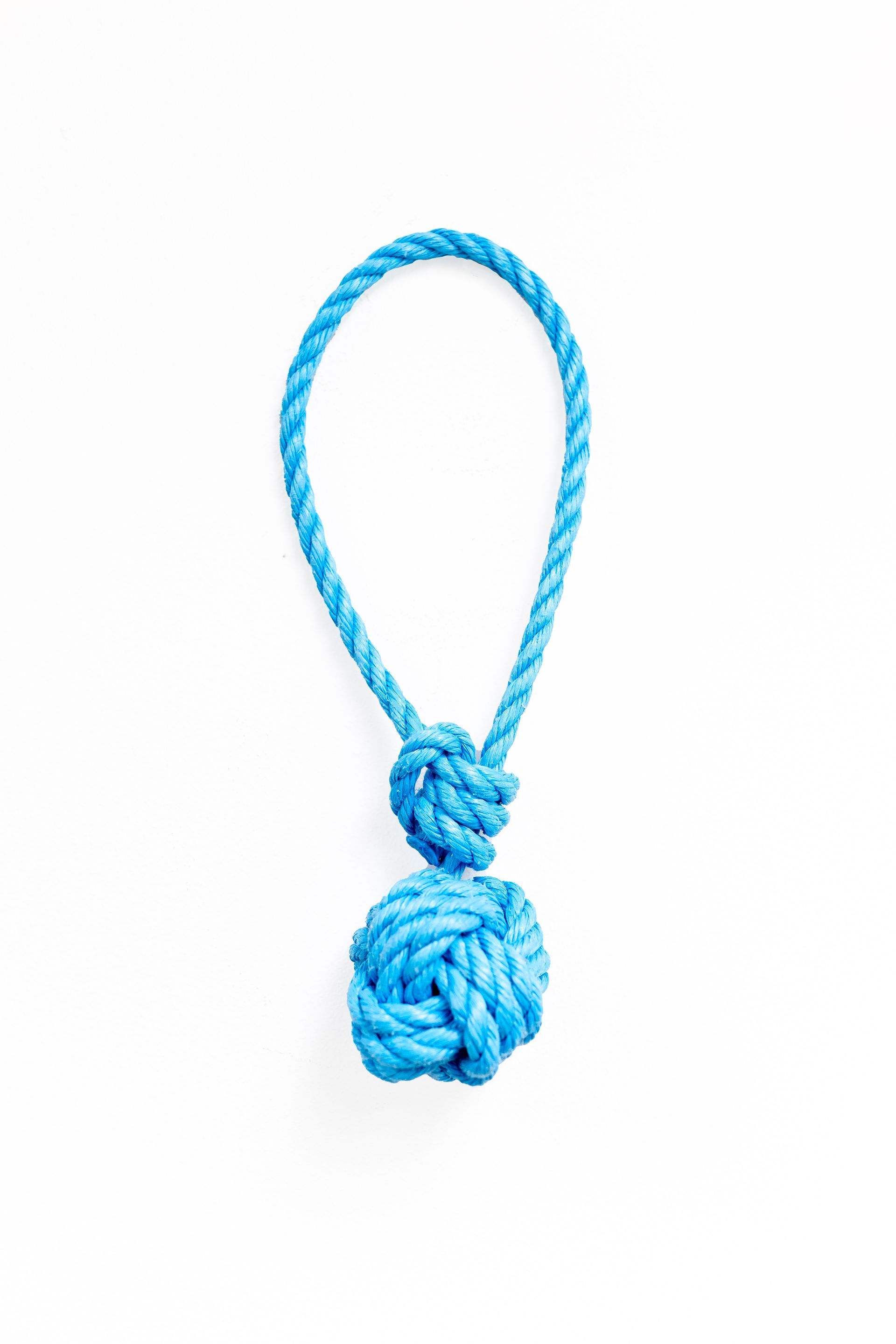 Blue Tossie dog toy