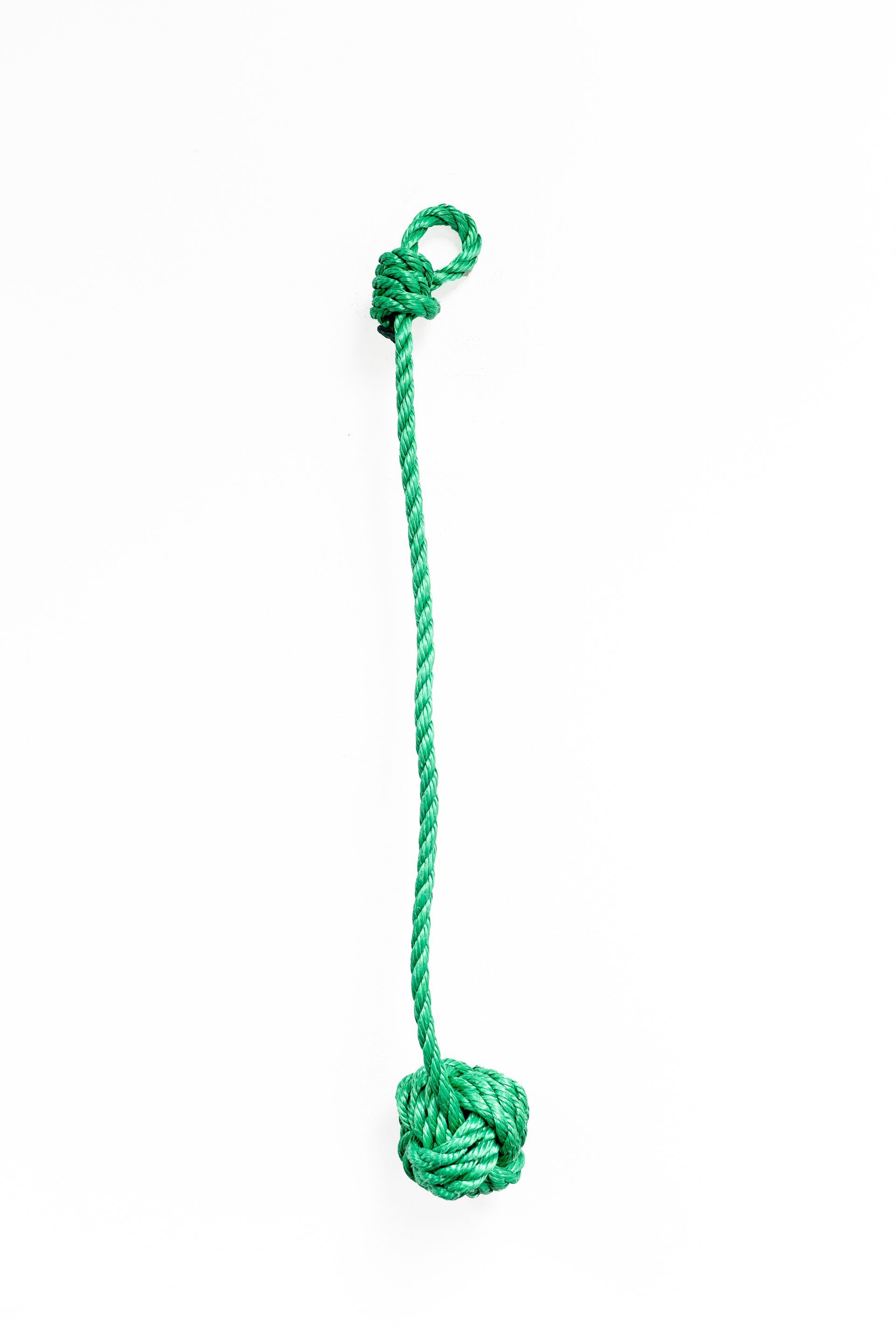 Green Tossie dog toy