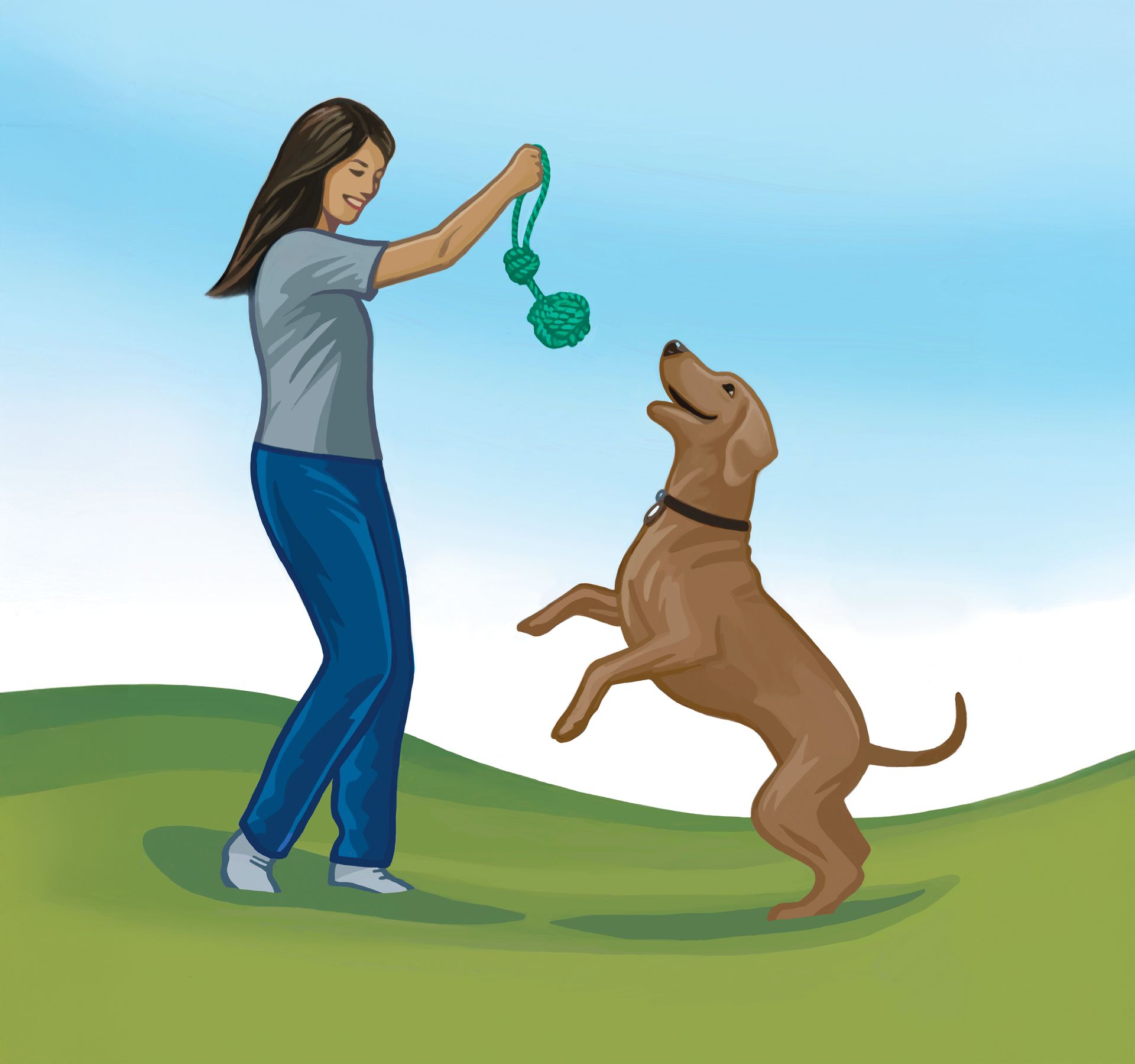 Illustration of a woman playing with a dog, the toy she is using is The Tossie.