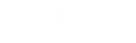 Blank white image with a small, faint dark mark near the bottom center