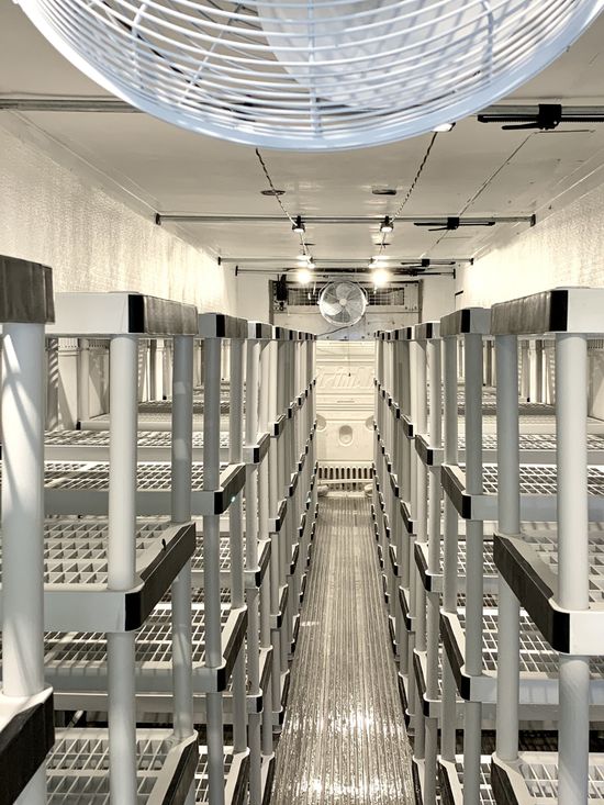Rows of stacked beds in a white dormitory room with overhead fans and bright lights