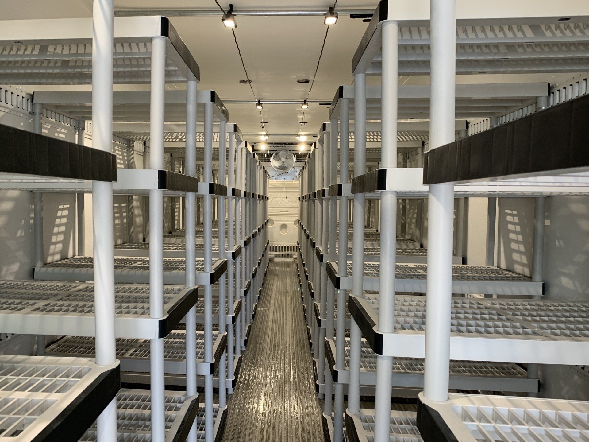 Long rows of stacked metal bunk beds in a bright dormitory or shelter hallway
