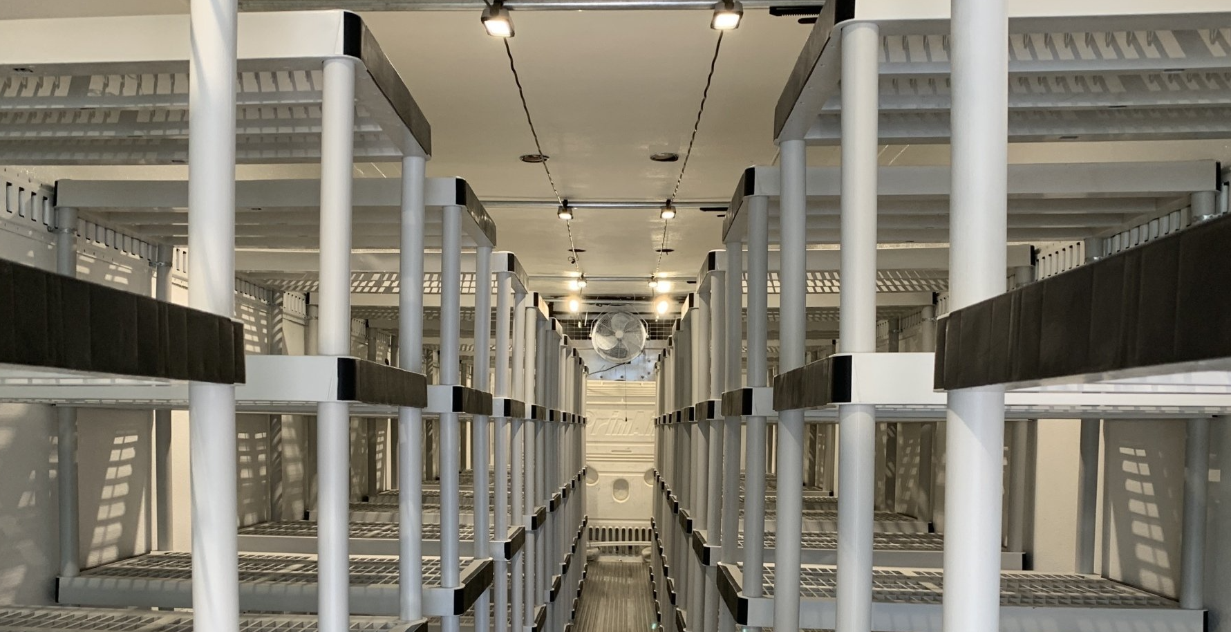 Row of metal bunk beds in a bright dormitory or barracks-like room