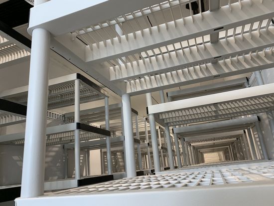 Rows of gray metal bunk beds in a bright dormitory or shelter room