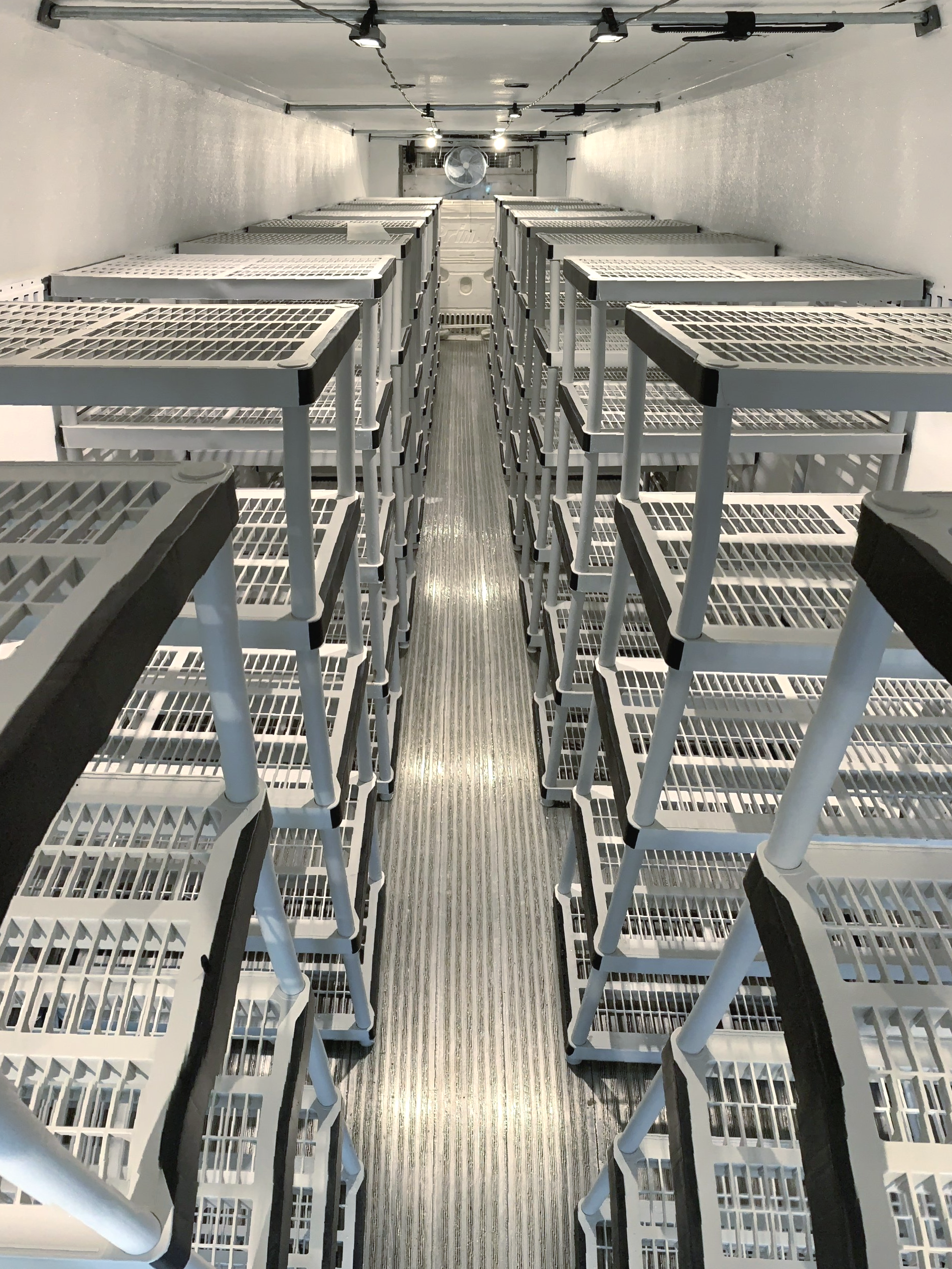 Rows of white shelves filled with boxes in a long, narrow warehouse aisle