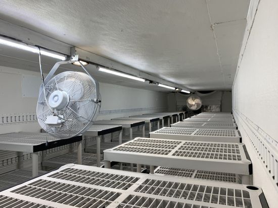 Industrial room with large white ventilation fans and rows of metal grates along the ceiling and wall