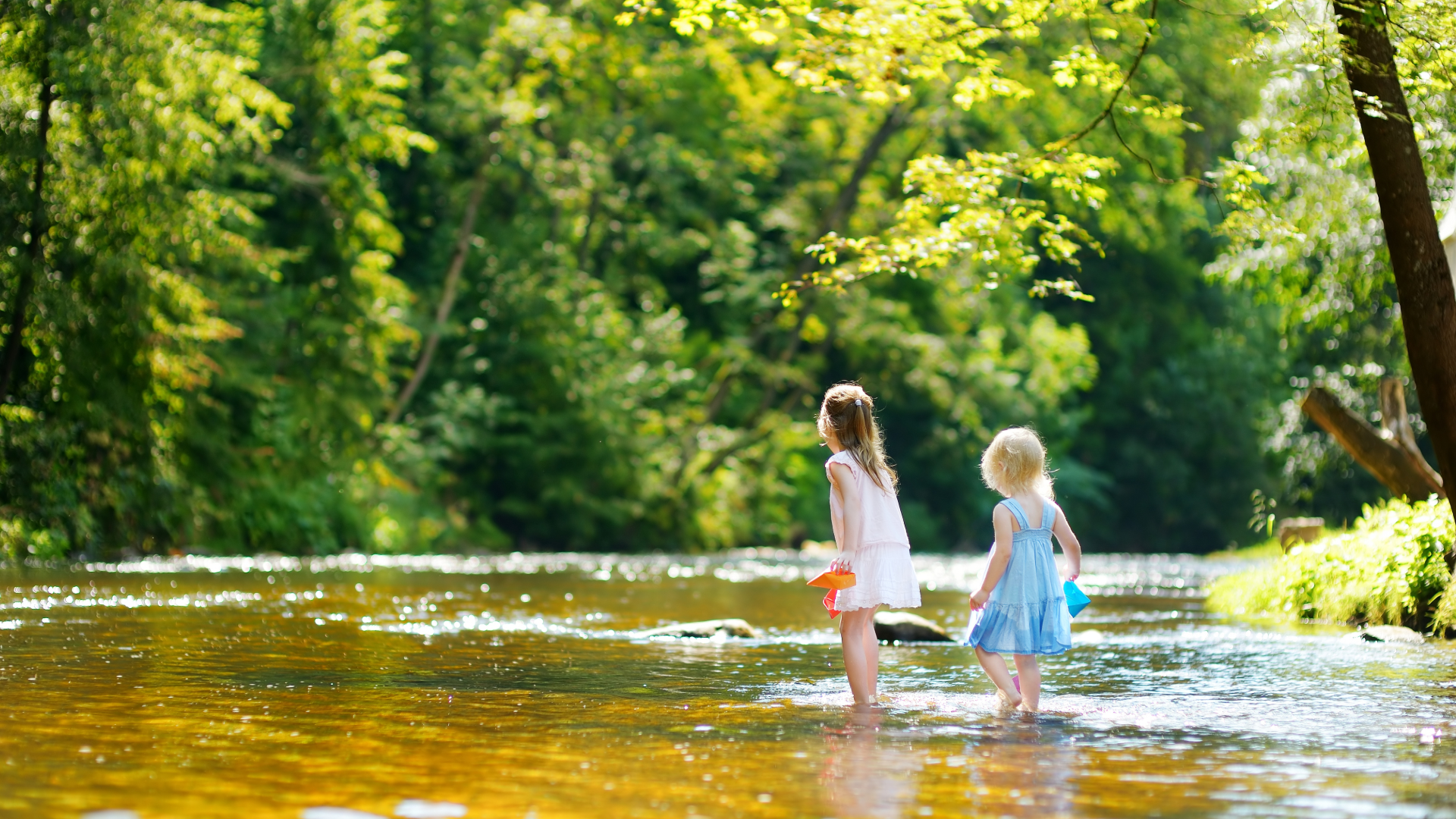 Personal Survival & Water Safety E-Course for Parents