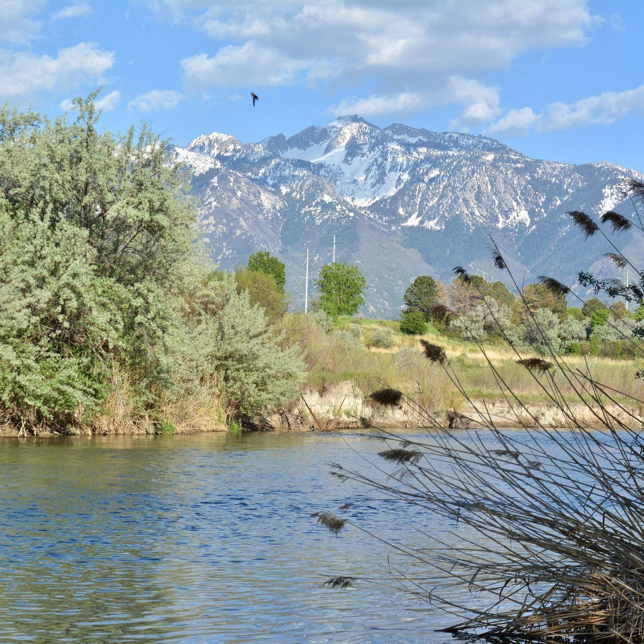 We Buy West Jordan, UT Homes Fast for Cash