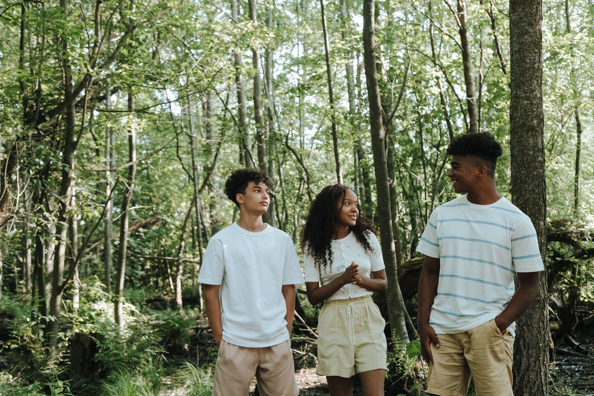Three people standing and talking in a sunlit forest among tall trees