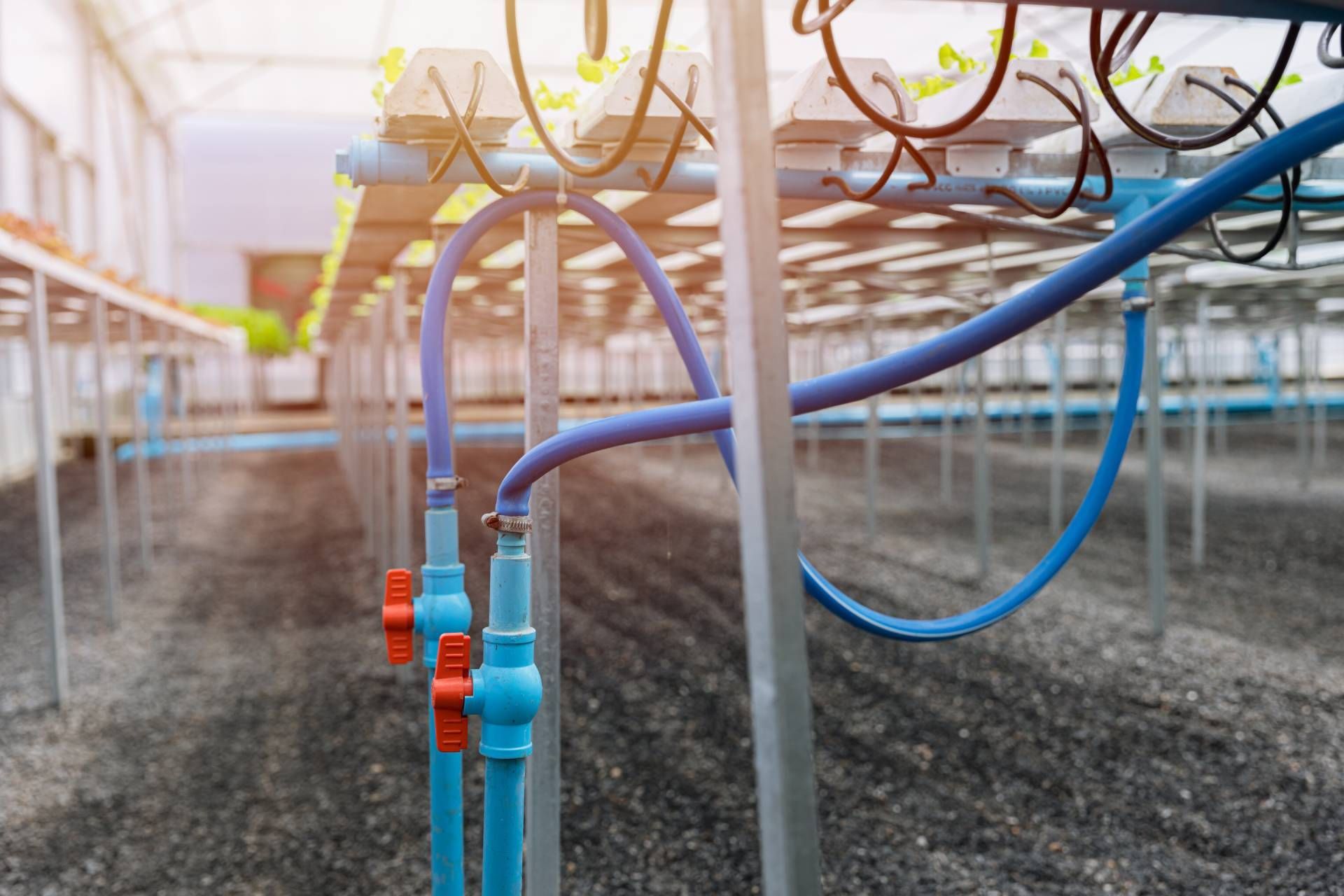 Colorful garden irrigation pipes and hoses under a greenhouse-style frame over gravel beds