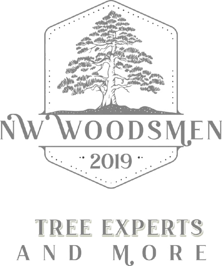 The logo for NORTHWEST WOODSMEN LLC is a tree experts and more logo.