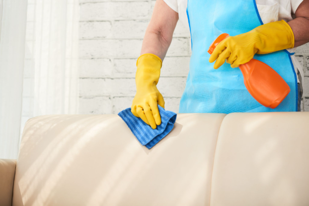 Atlas Window & Carpet Cleaning providing Upholstery Cleaning Services in Marin County restoring sofa