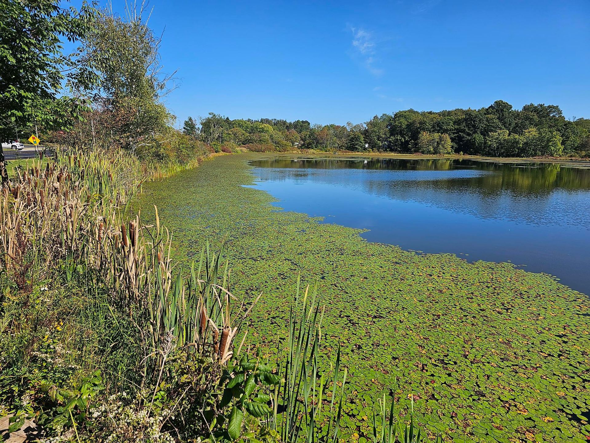 lake lenore wide shot lodge at chalk hill