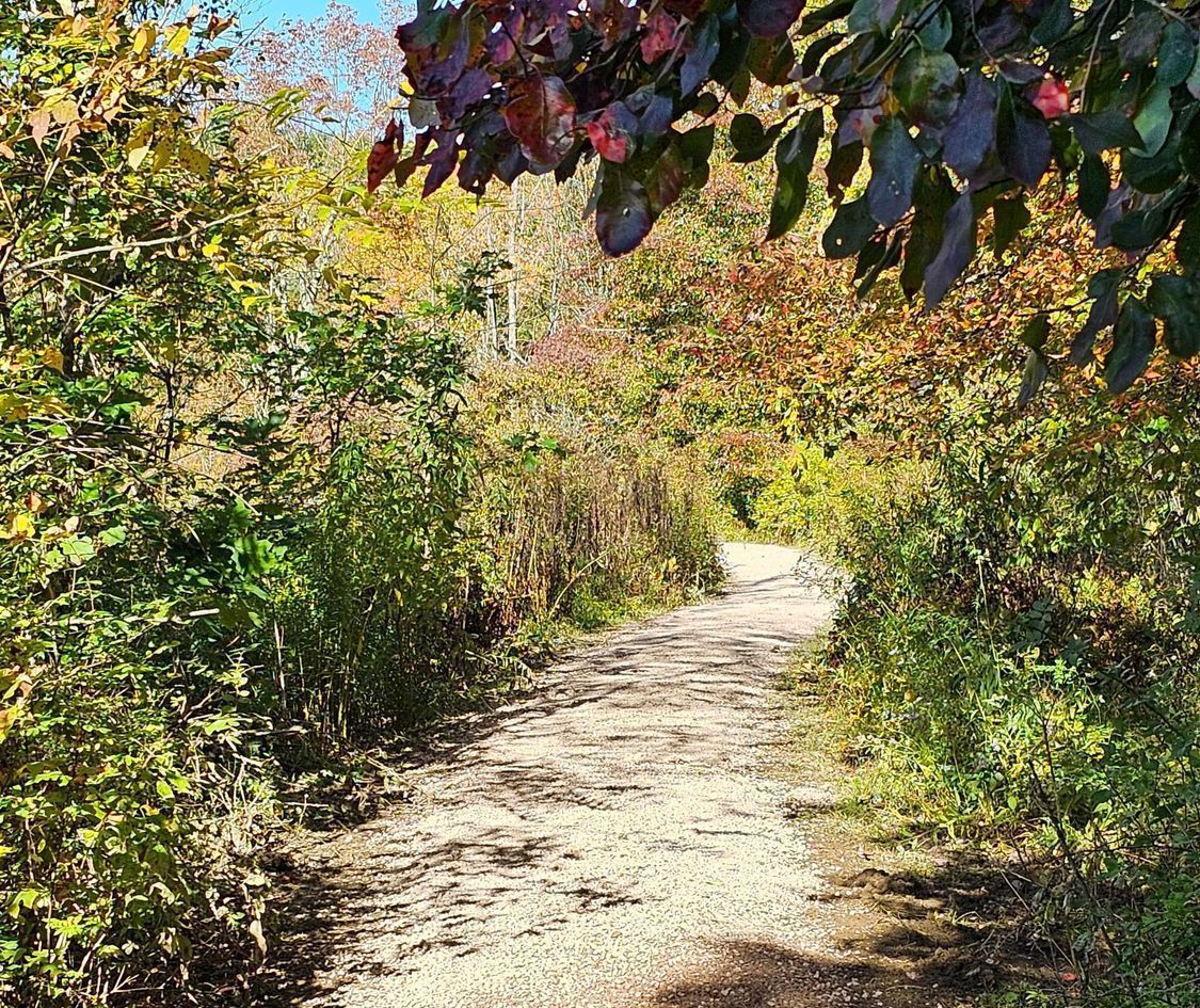 walking trail around the property at the lodge at chalk hill