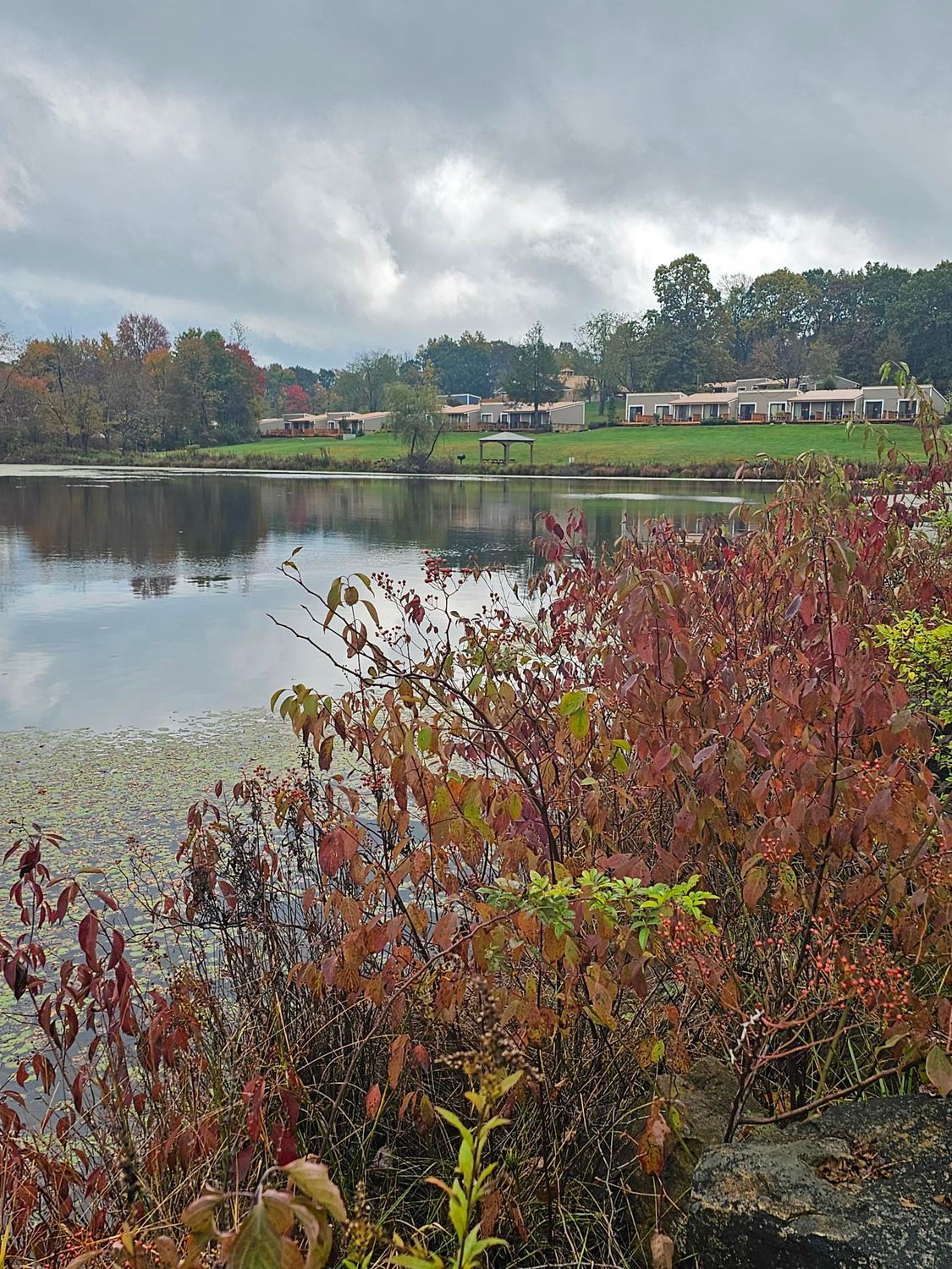 lake lenore 