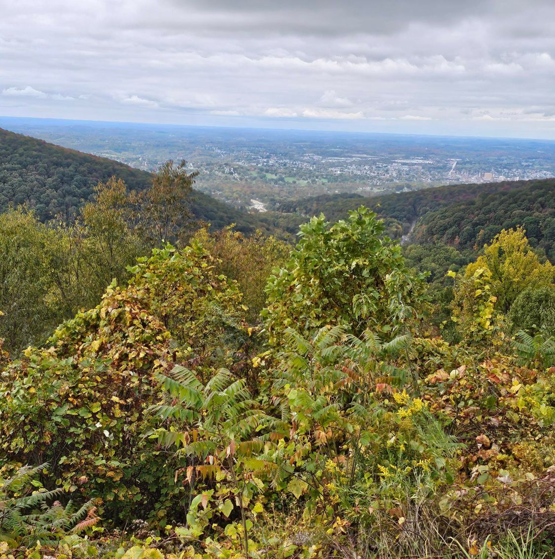 scenic overlook