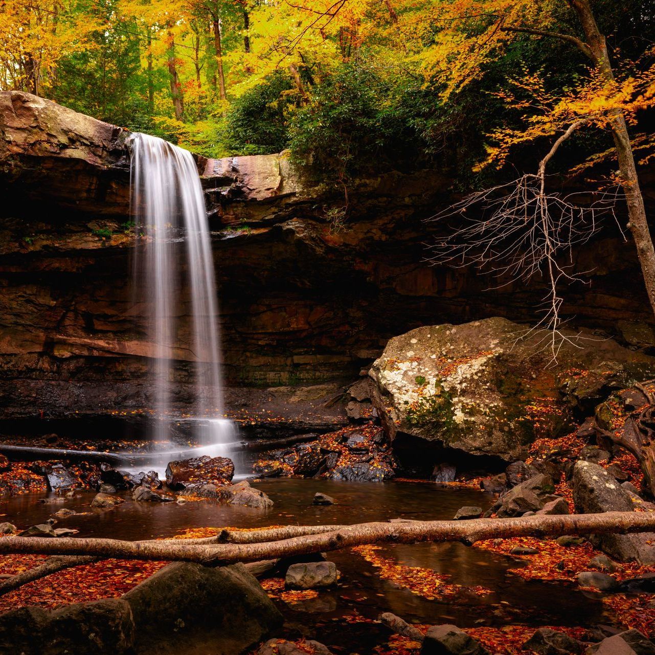 cucumber falls in ohiopyle state park
