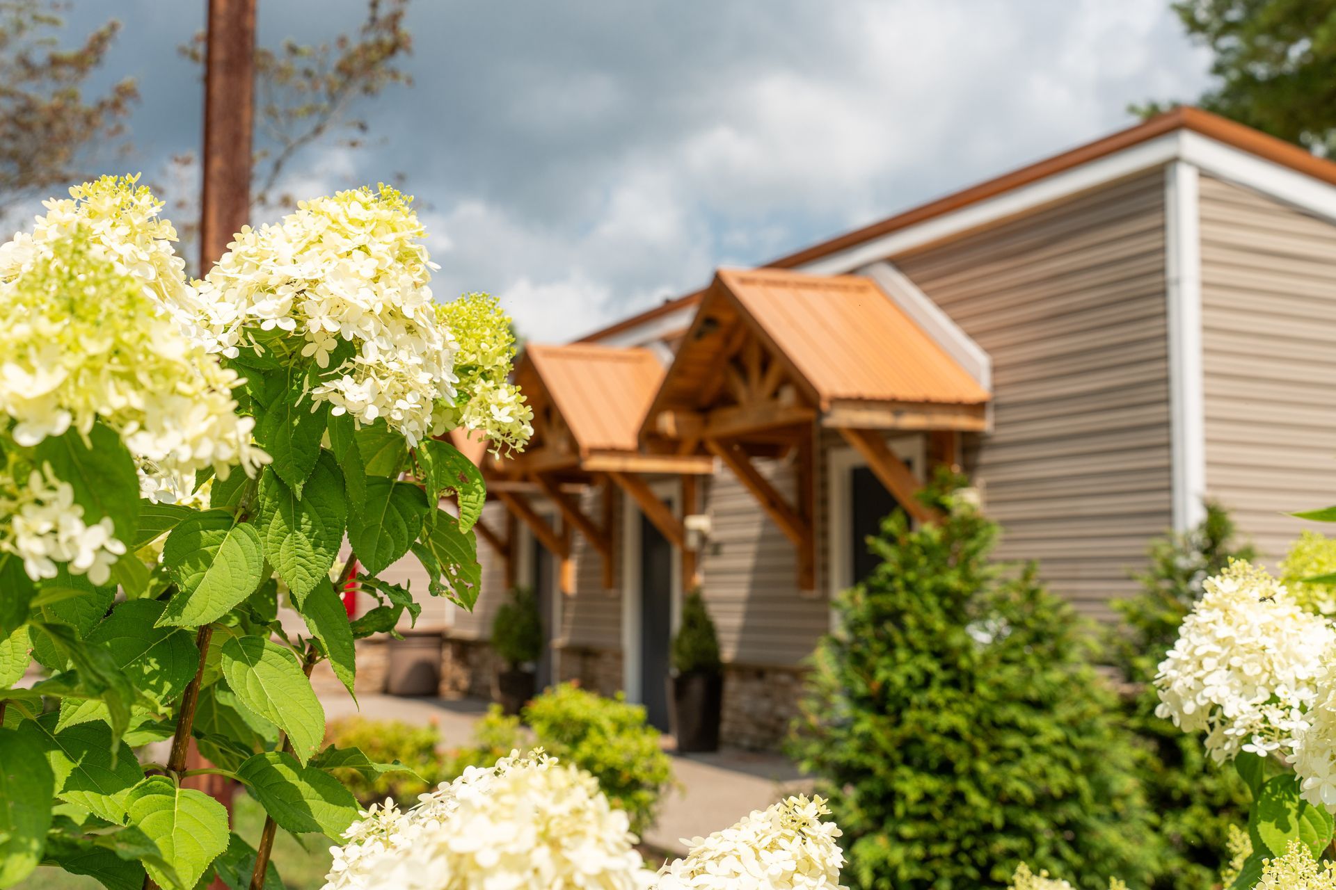 lodge at chalk hill flowers blooming in spring