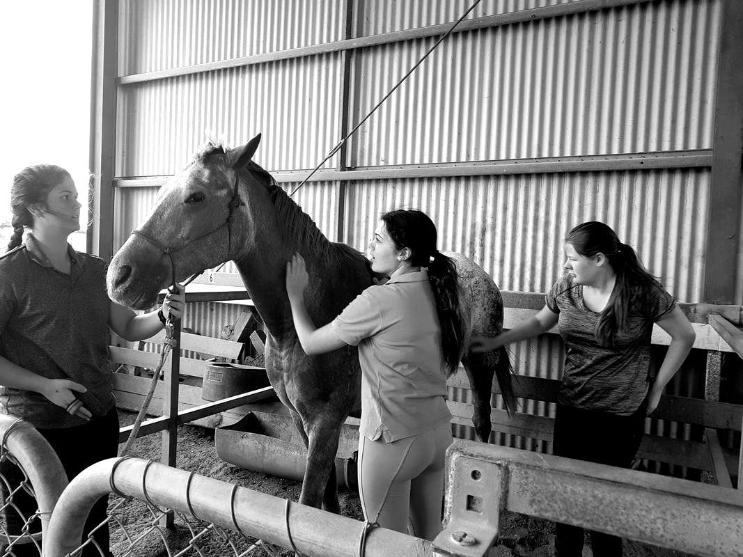 A black and white photo of two women petting a horse in a barn.