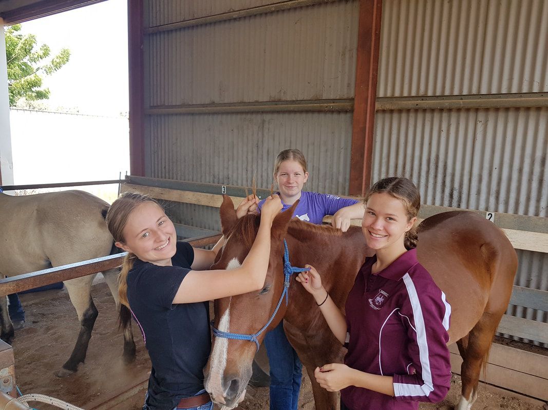 A woman in a purple shirt is standing next to a horse
