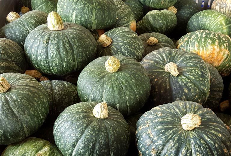 zucca mantovana