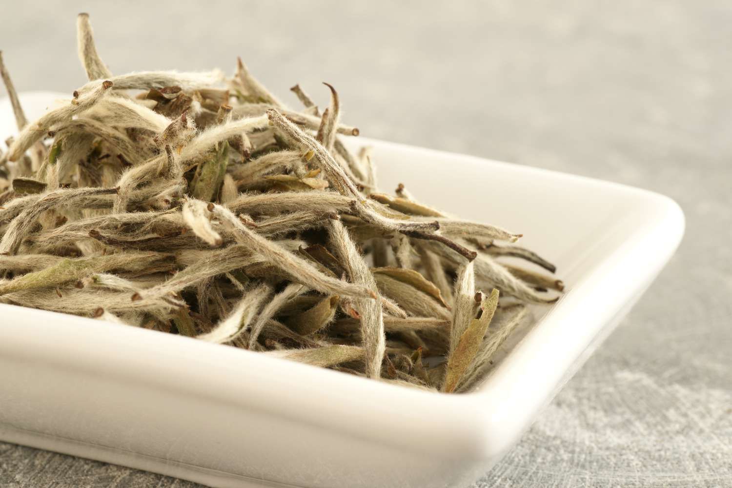 Pile of dried whitebait fish in a white dish