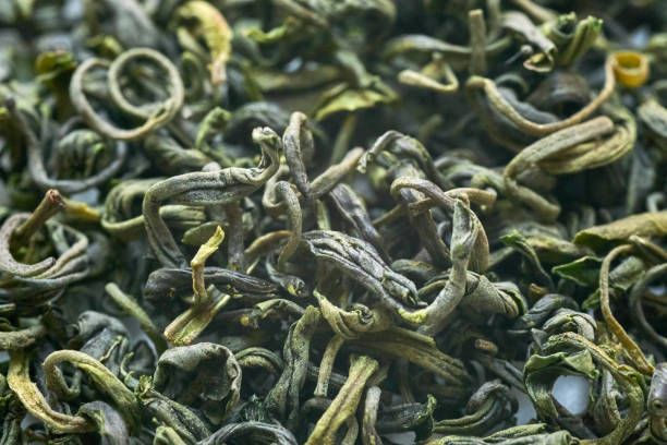 Close-up of curled green tea leaves drying in a heap