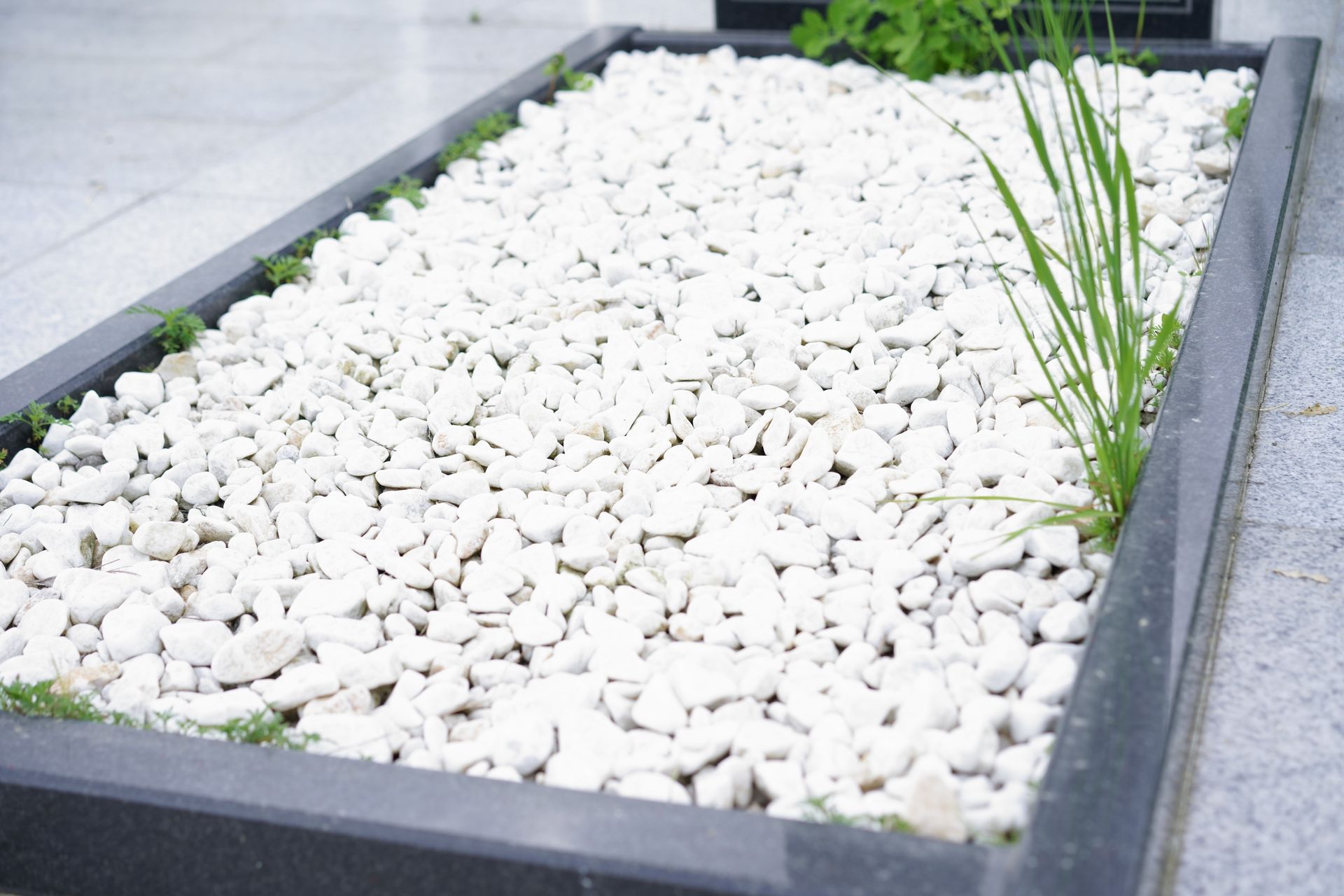 White gravel landscape design featuring stones. White gravel landscape design featuring stones.