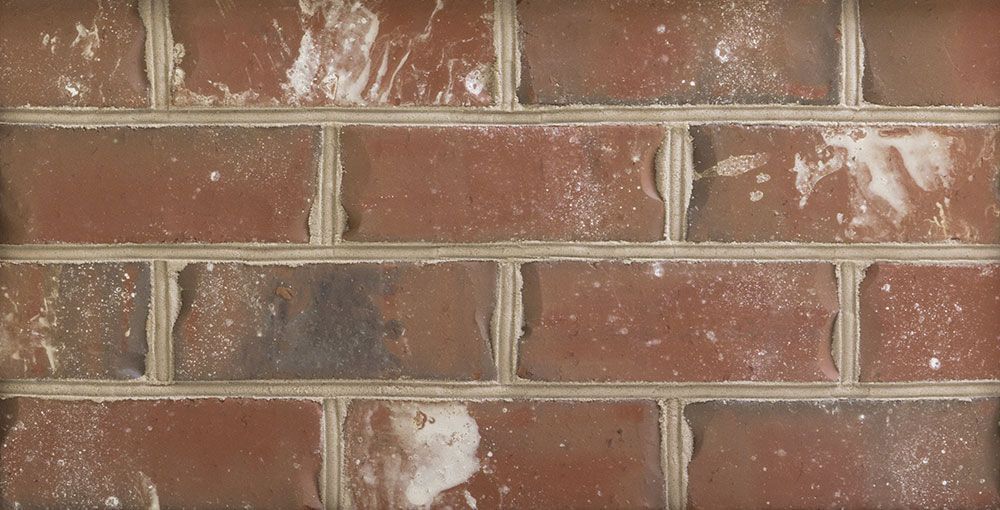 Close-up of a brick wall with red and brown bricks and light-colored mortar.