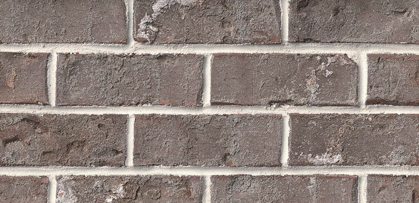 Close-up of a brick wall with gray bricks and white mortar.